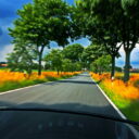 Besondere Ausbildungsfahrt Überland Automatik zu 45 min